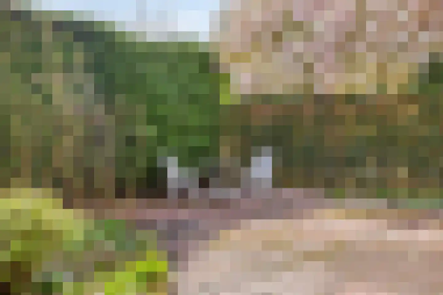 van Brederodelaan 4 Waalwijk thumbnail 47