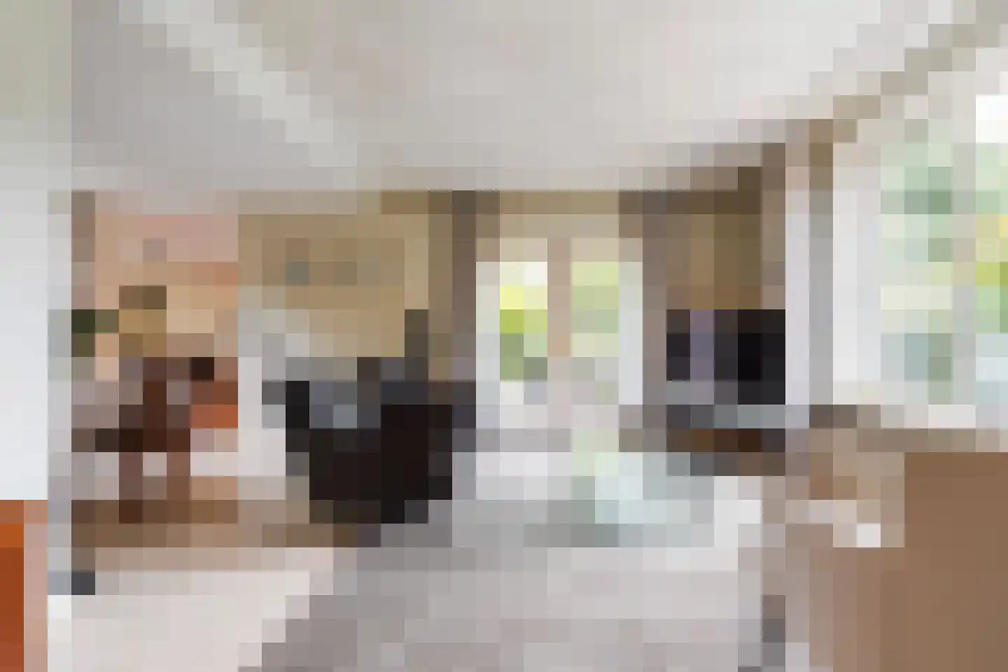 van Brederodelaan 5 Waalwijk thumbnail 18