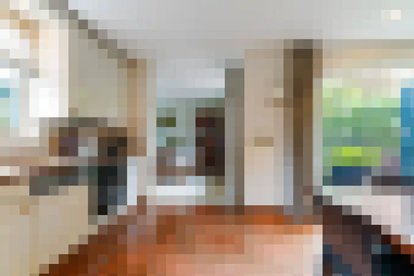 van Brederodelaan 5 Waalwijk thumbnail 22