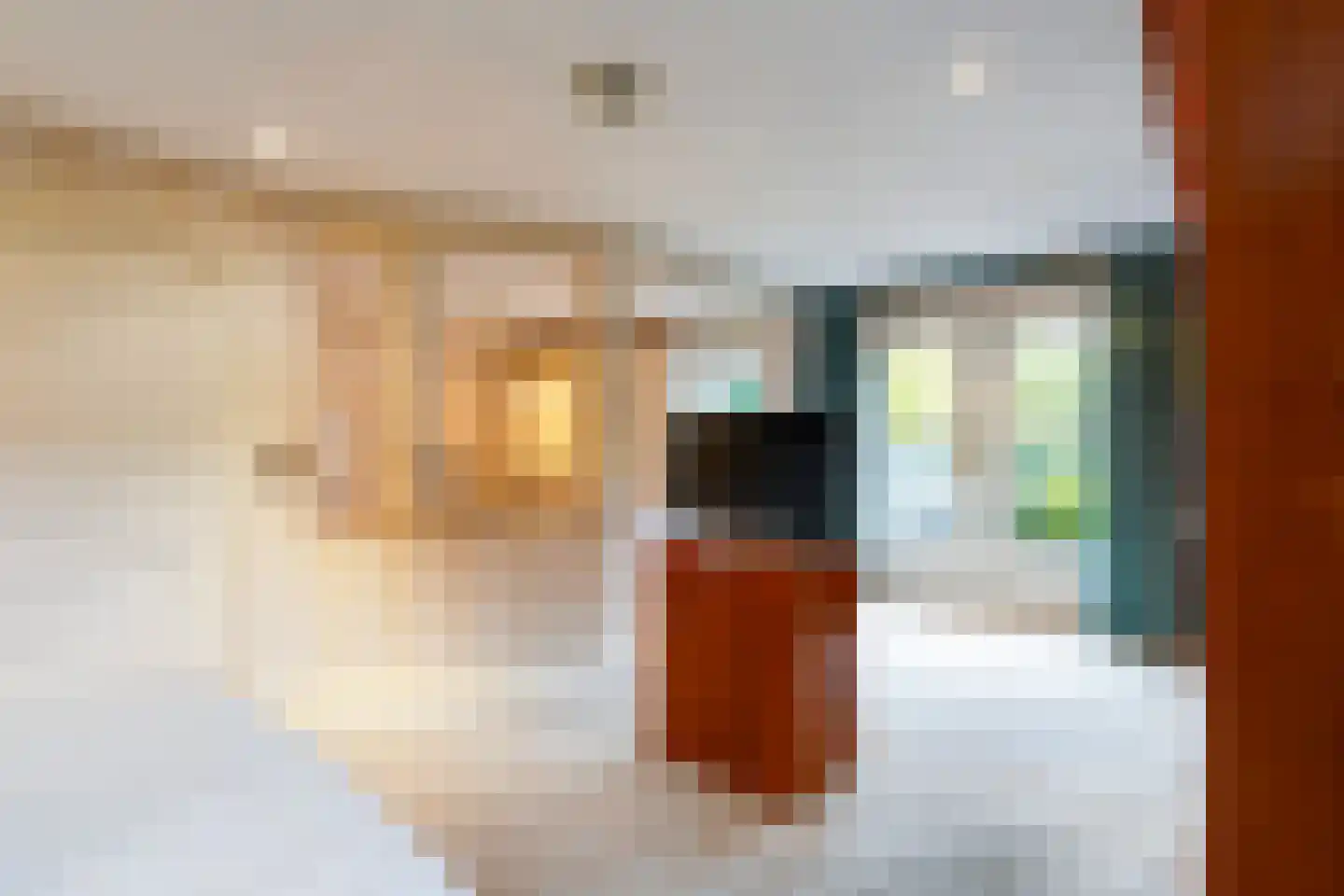 van Brederodelaan 5 Waalwijk thumbnail 34