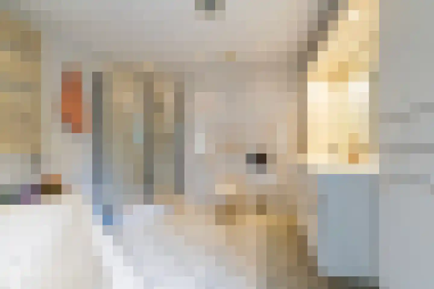van Brederodelaan 5 Waalwijk thumbnail 37