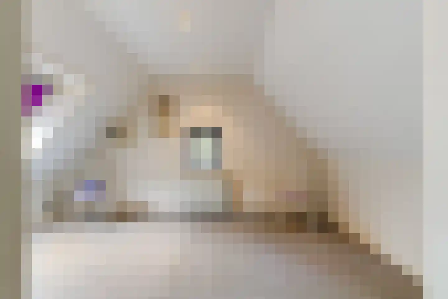 van Brederodelaan 5 Waalwijk thumbnail 52
