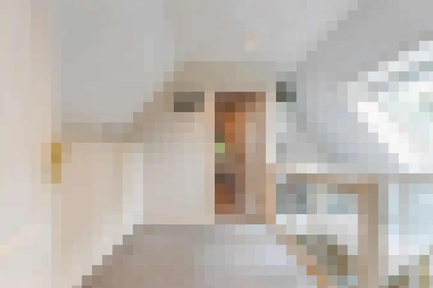 van Brederodelaan 5 Waalwijk thumbnail 54