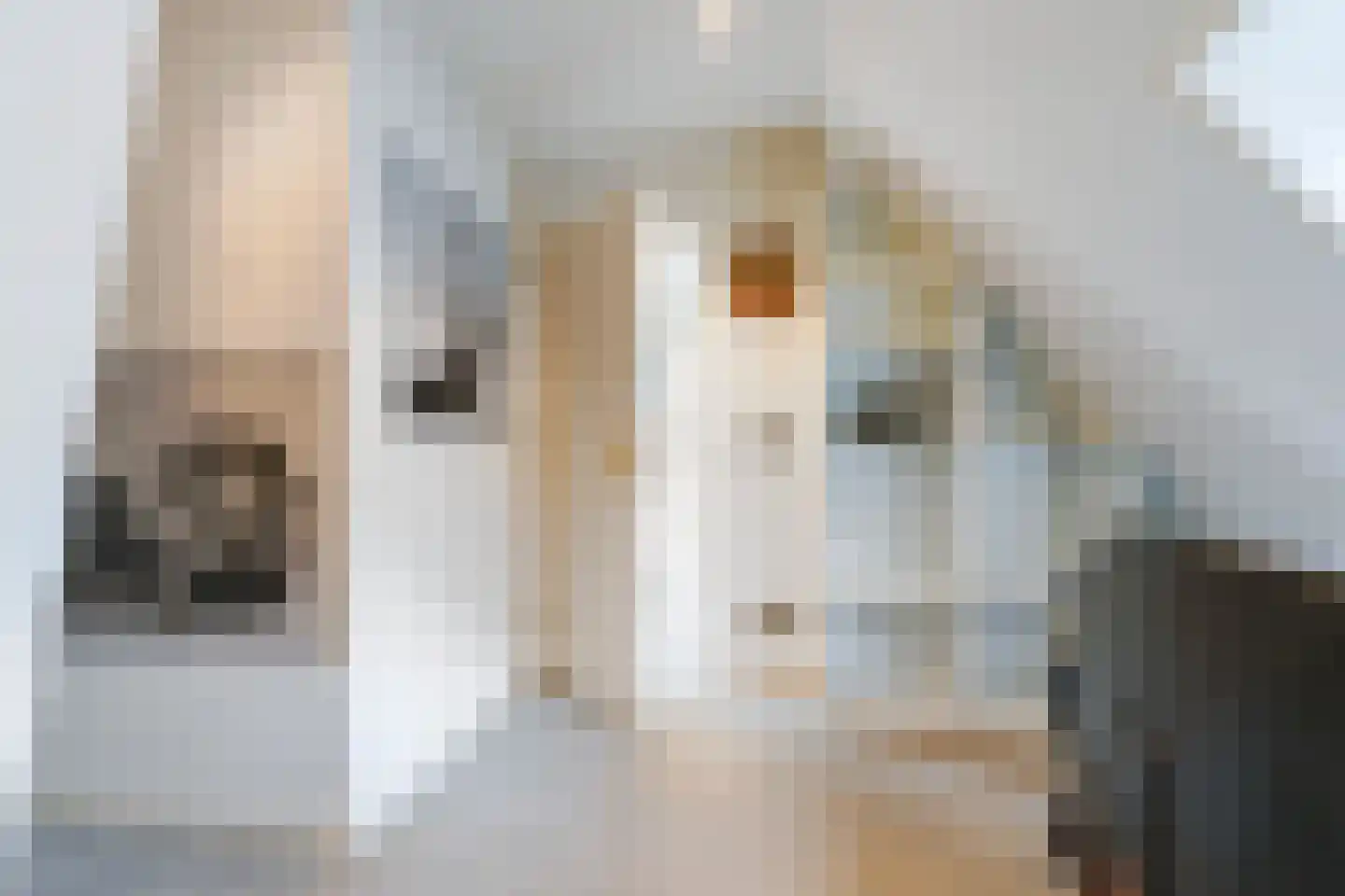 van Brederodelaan 5 Waalwijk thumbnail 56