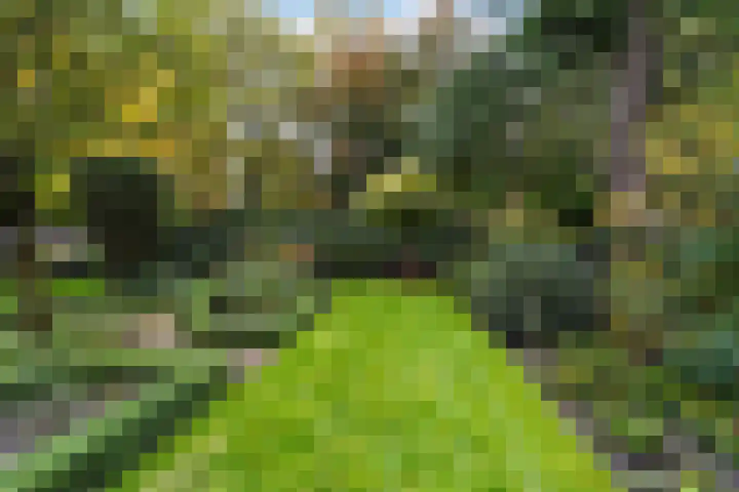van Brederodelaan 5 Waalwijk thumbnail 59