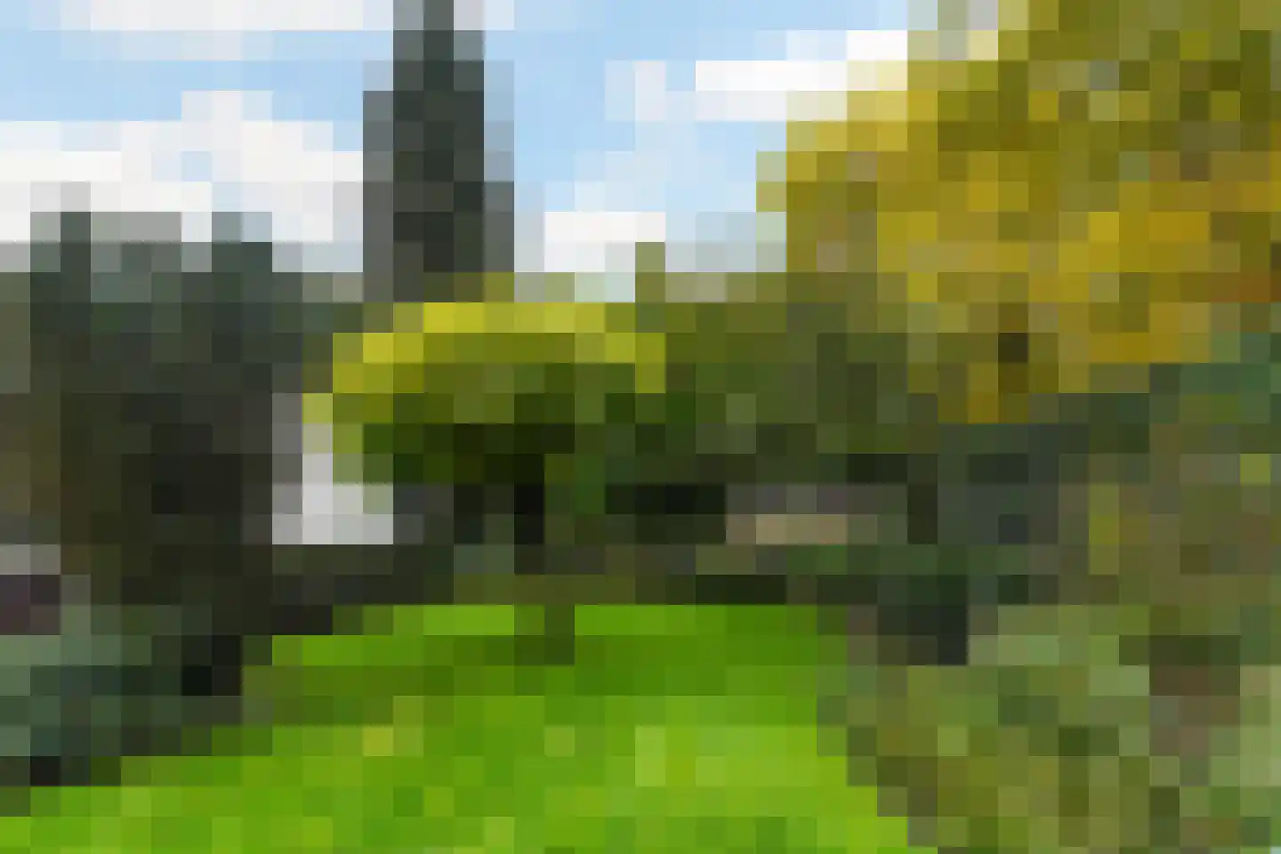 van Brederodelaan 5 Waalwijk thumbnail 60