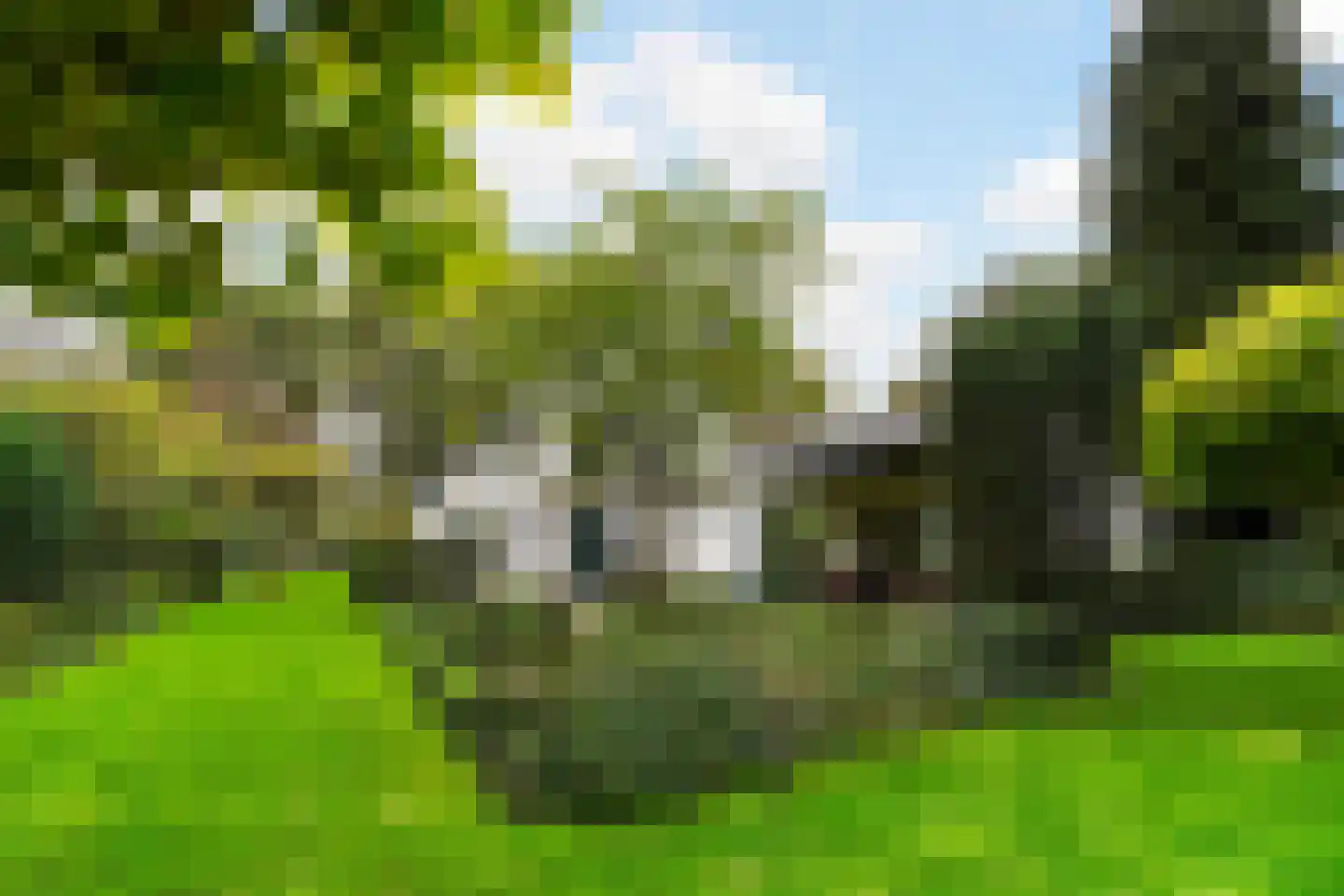 van Brederodelaan 5 Waalwijk thumbnail 61