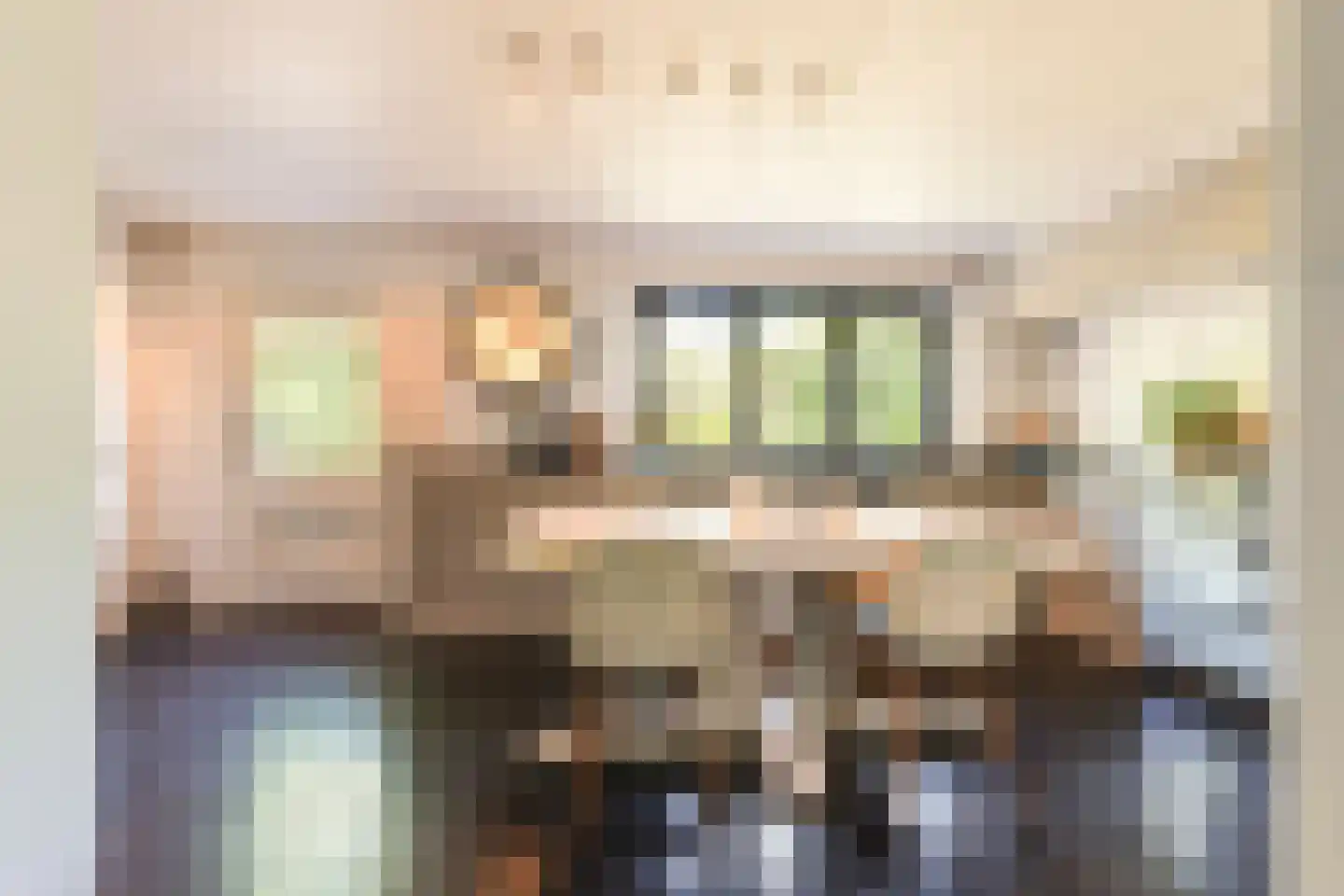 van Brederodelaan 9 Waalwijk thumbnail 21