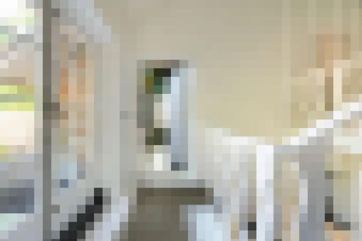 van Brederodelaan 9 Waalwijk thumbnail 30