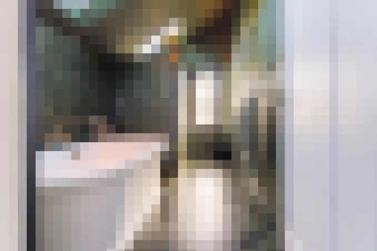 van Brederodelaan 9 Waalwijk thumbnail 31