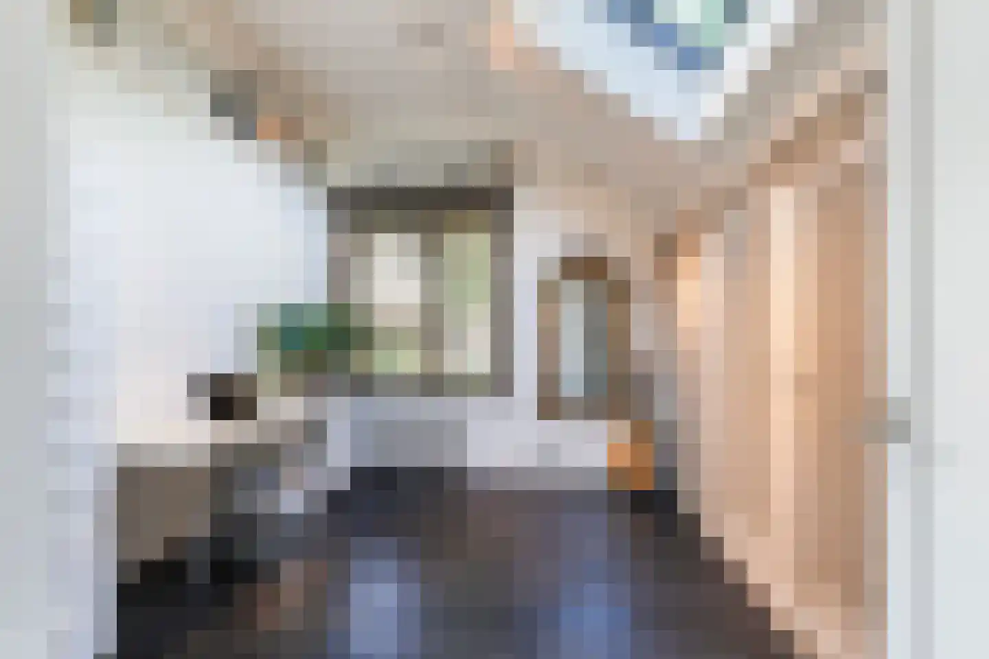 van Brederodelaan 9 Waalwijk thumbnail 33