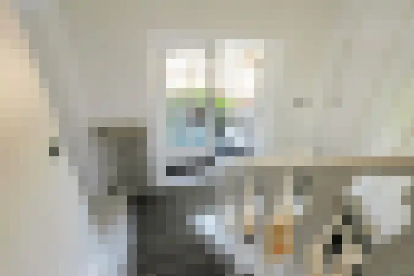 van Brederodelaan 9 Waalwijk thumbnail 34