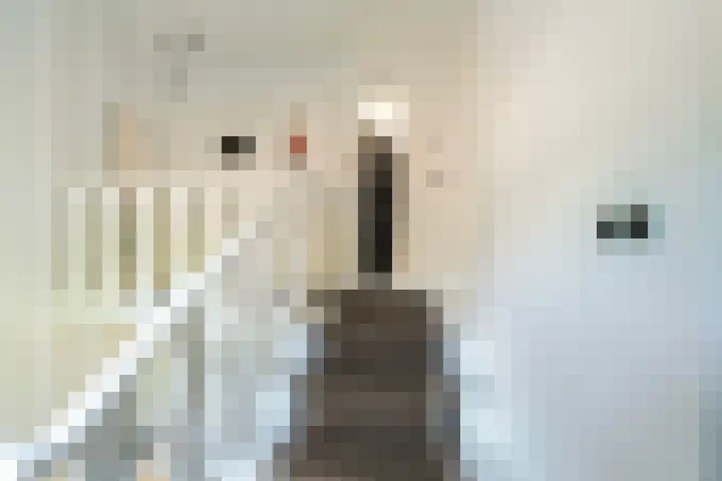 van Brederodelaan 9 Waalwijk thumbnail 35