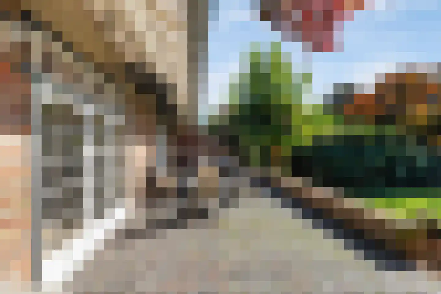 van Brederodelaan 9 Waalwijk thumbnail 4