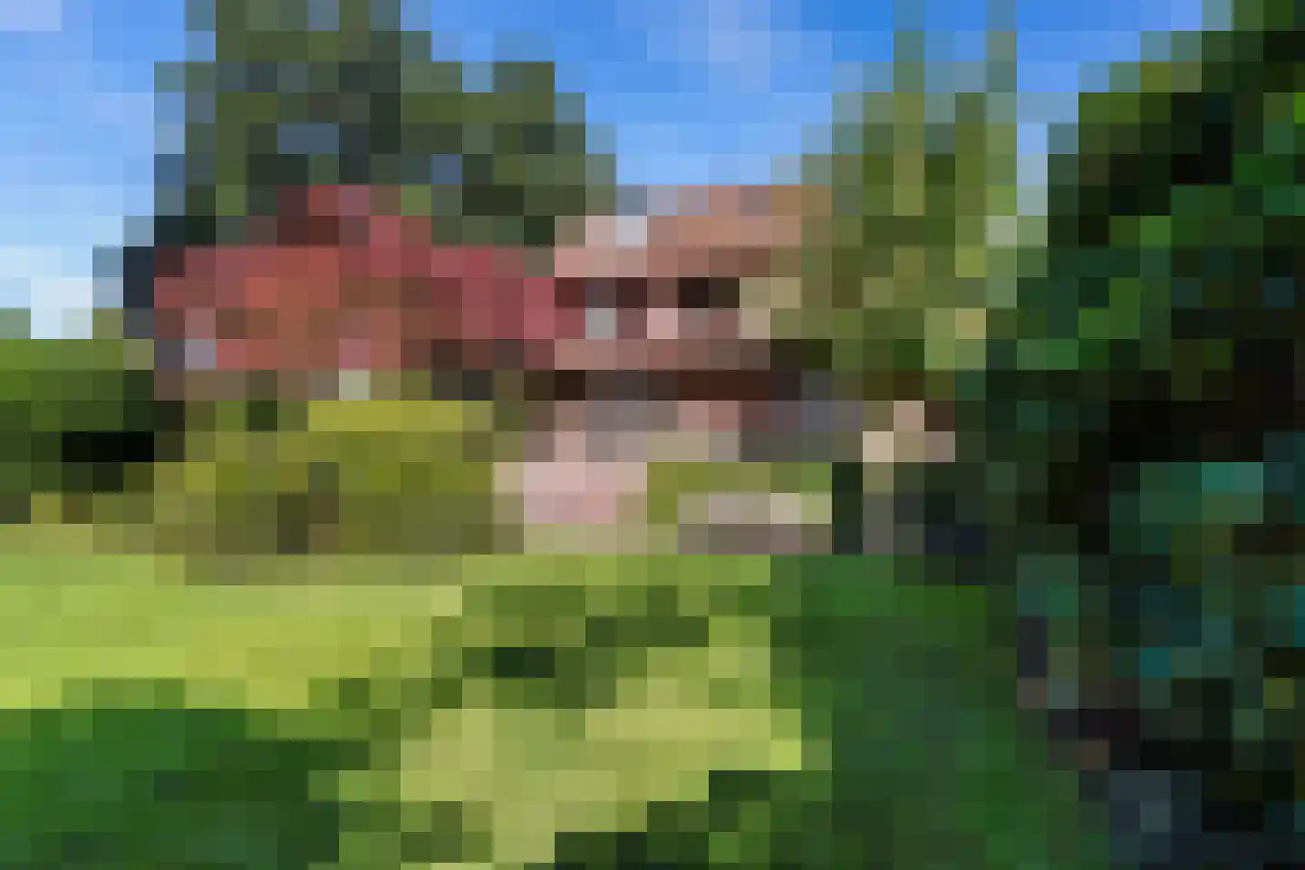 van Brederodelaan 9 Waalwijk thumbnail 51