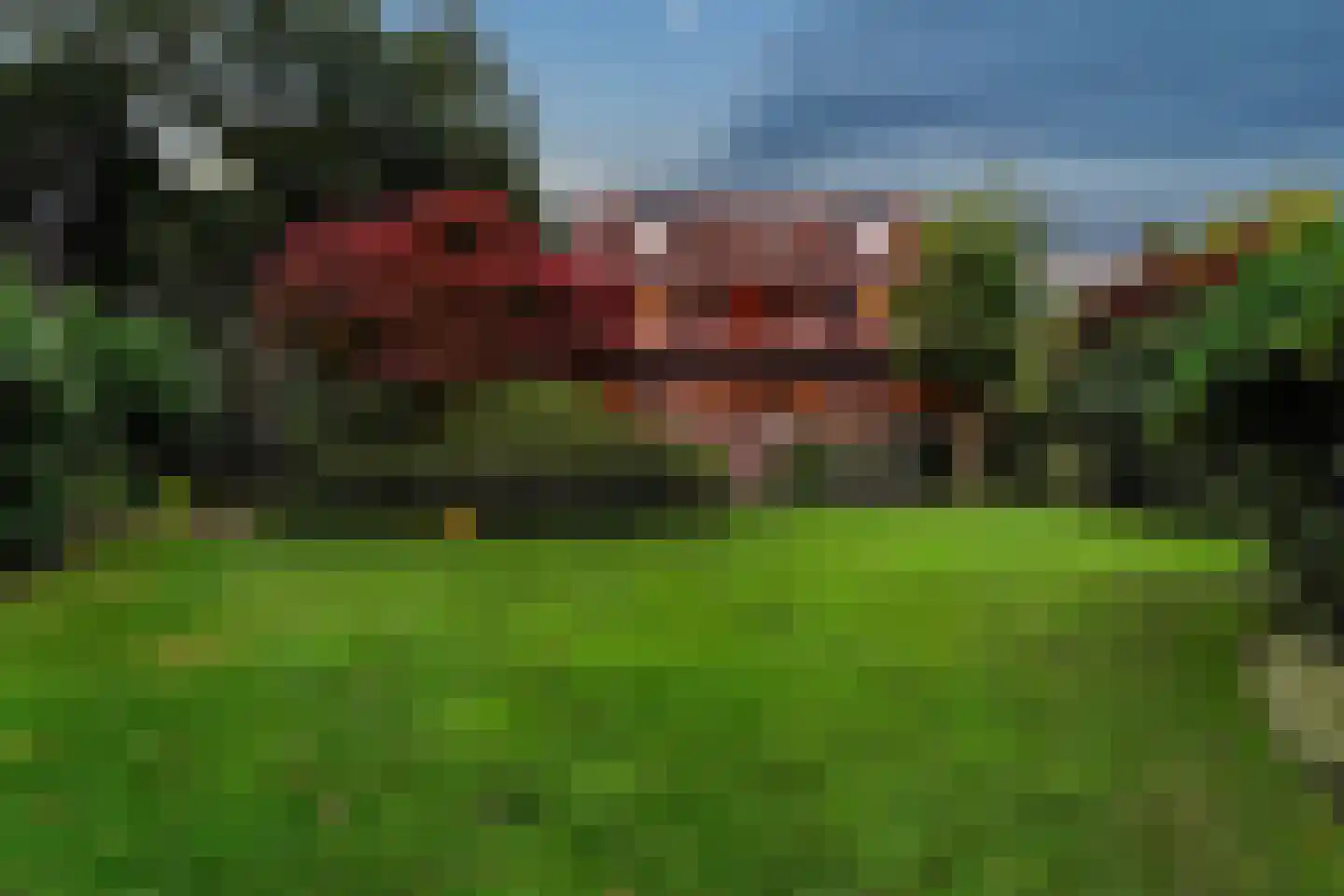 van Brederodelaan 9 Waalwijk thumbnail 52