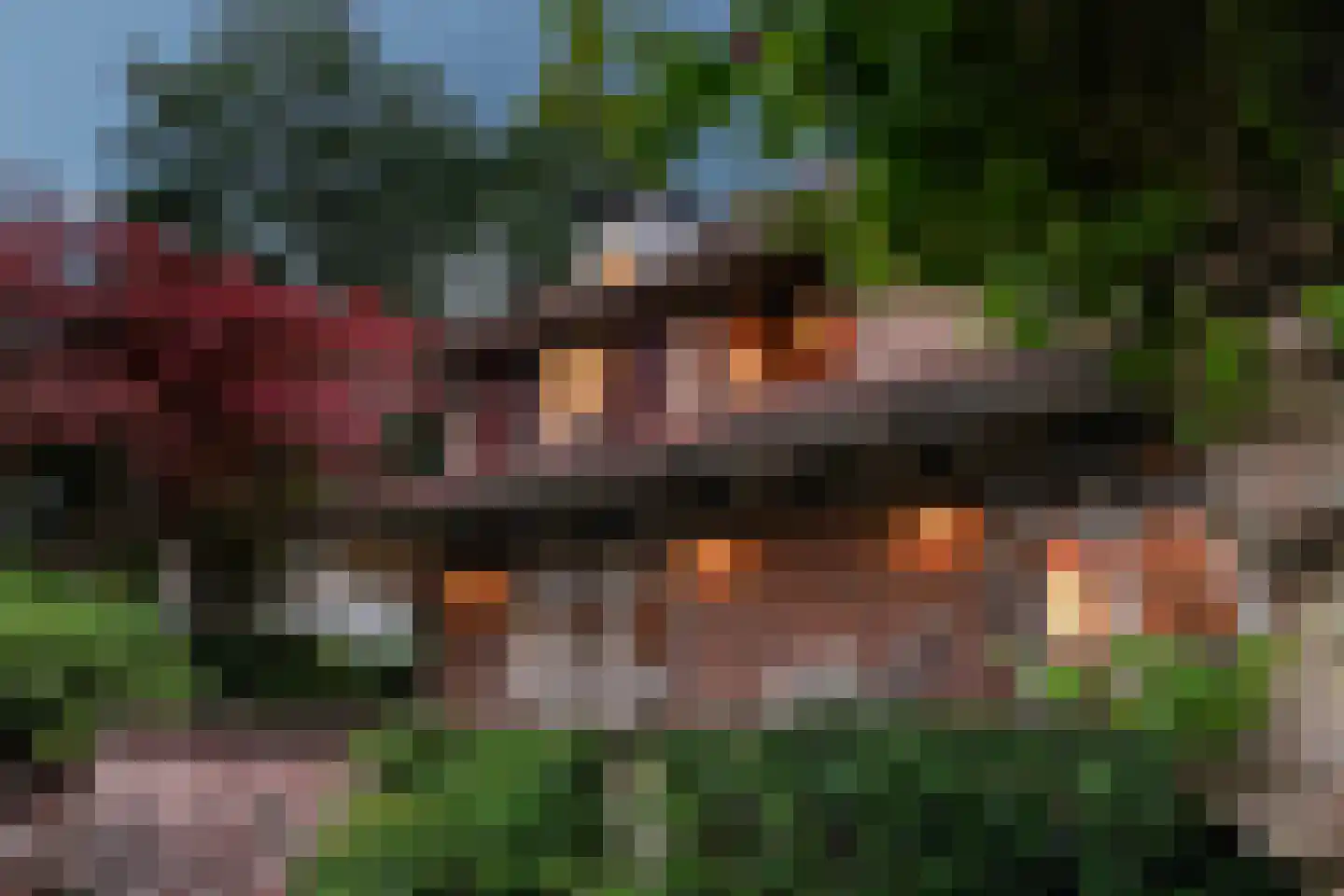 van Brederodelaan 9 Waalwijk thumbnail 53