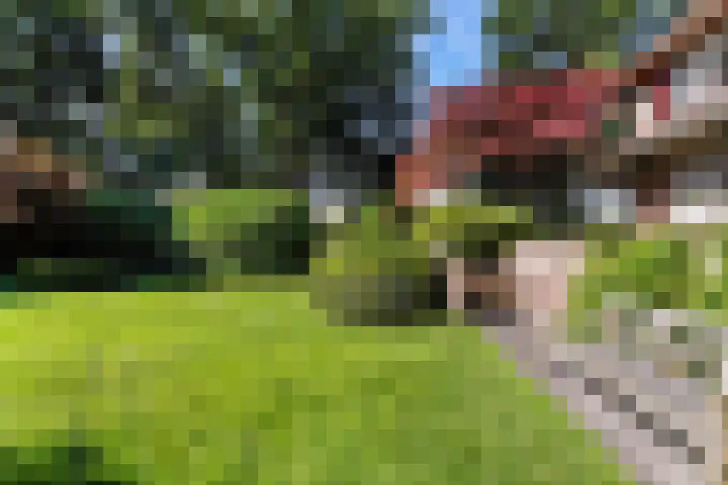 van Brederodelaan 9 Waalwijk thumbnail 54