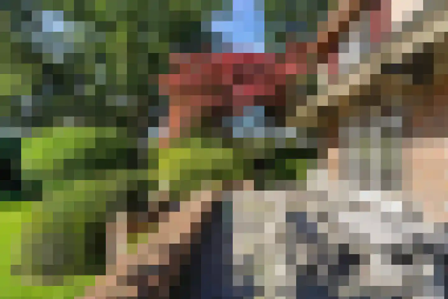 van Brederodelaan 9 Waalwijk thumbnail 55