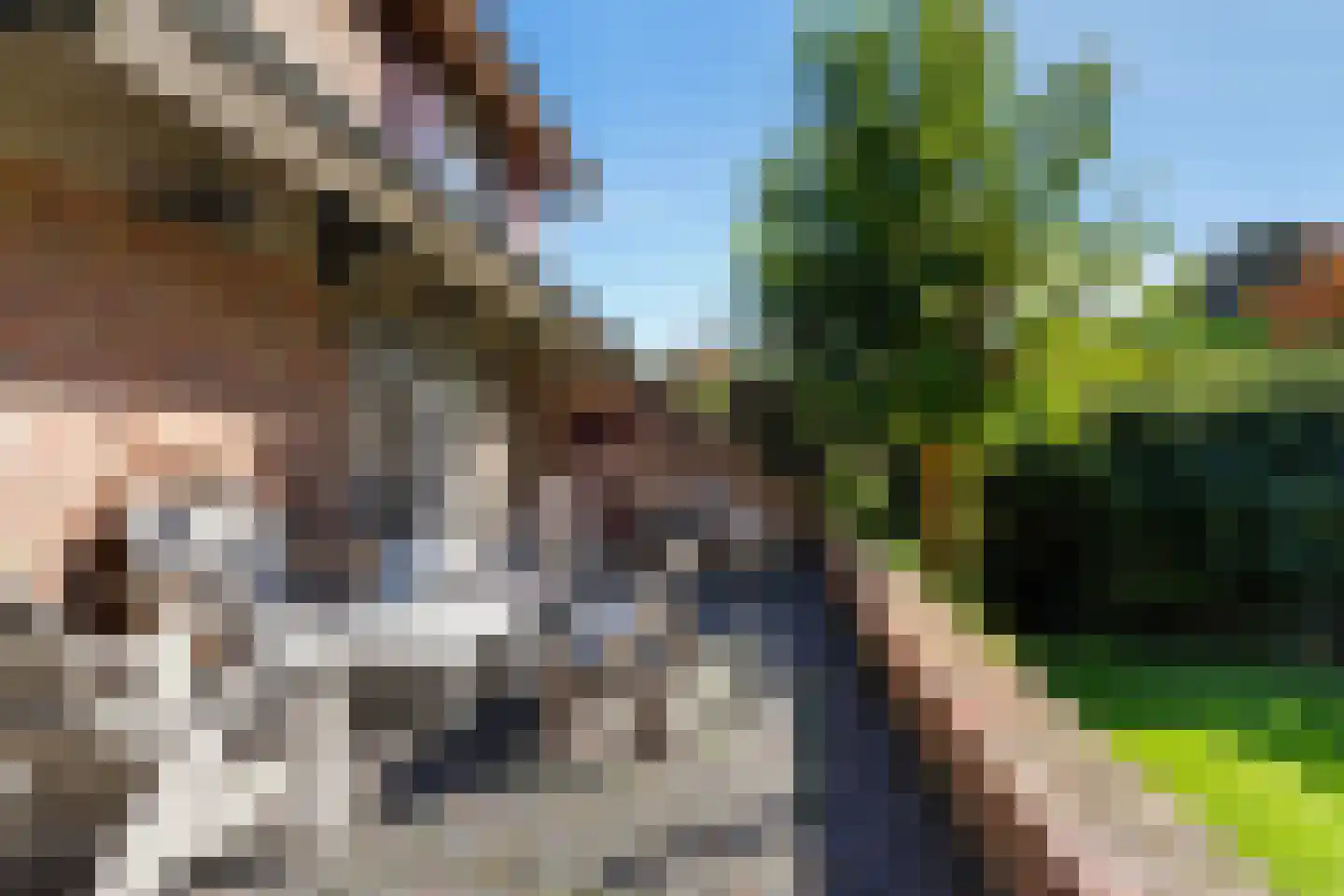 van Brederodelaan 9 Waalwijk thumbnail 56