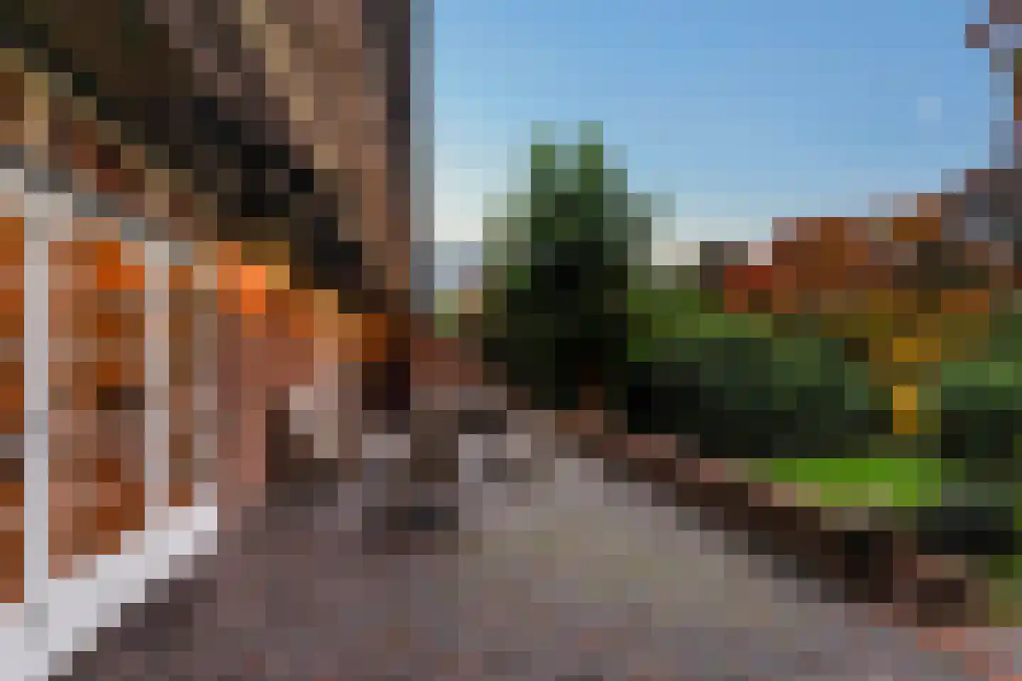 van Brederodelaan 9 Waalwijk thumbnail 57