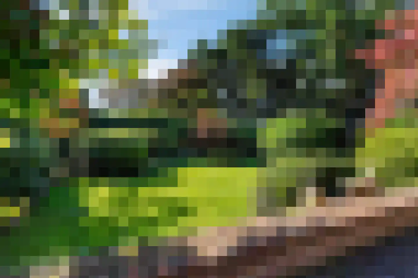 van Brederodelaan 9 Waalwijk thumbnail 59