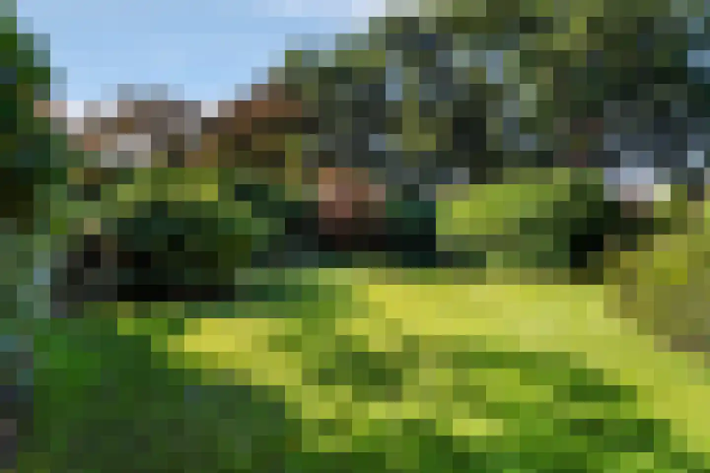 van Brederodelaan 9 Waalwijk thumbnail 60