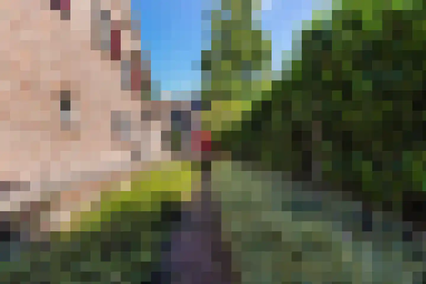 van Brederodelaan 9 Waalwijk thumbnail 64