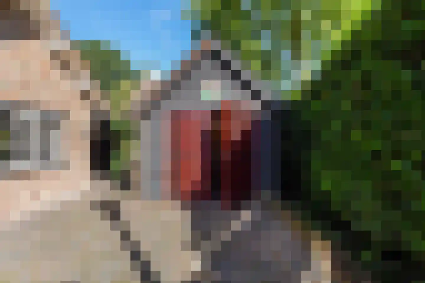 van Brederodelaan 9 Waalwijk thumbnail 65