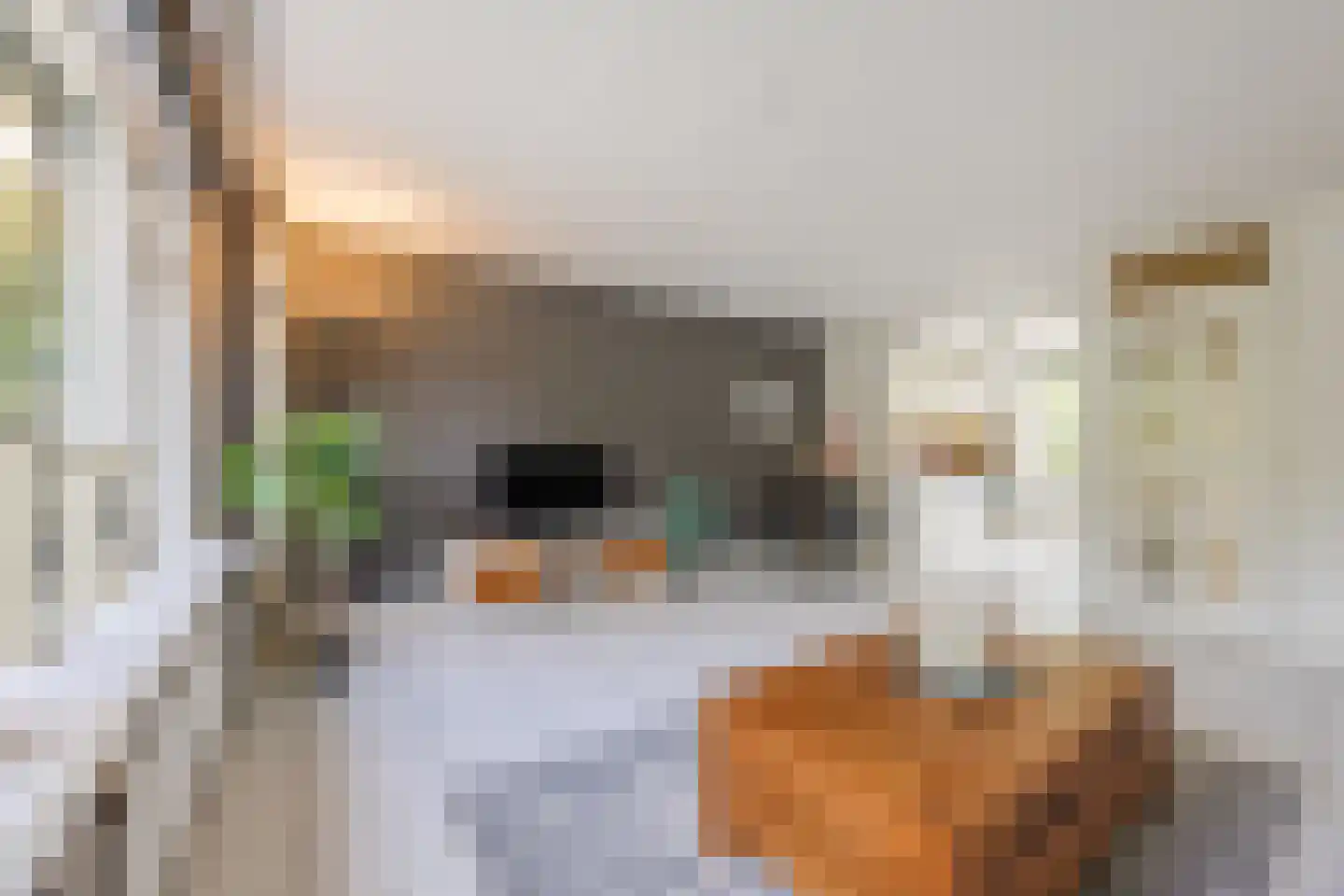 van Brederodestraat 11 Monster thumbnail 10