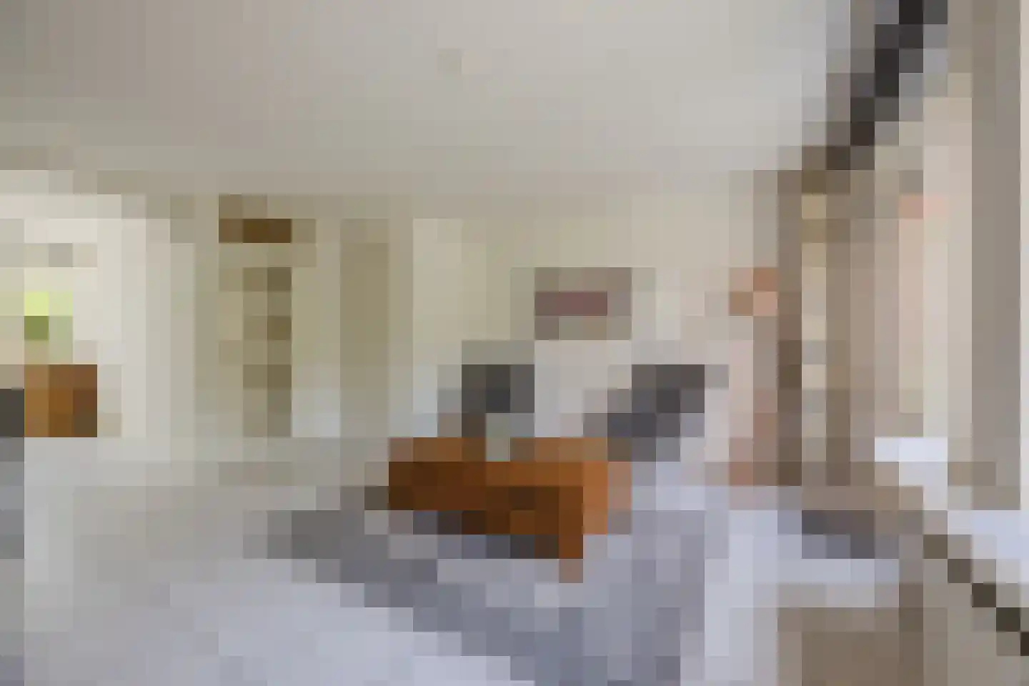 van Brederodestraat 11 Monster thumbnail 13
