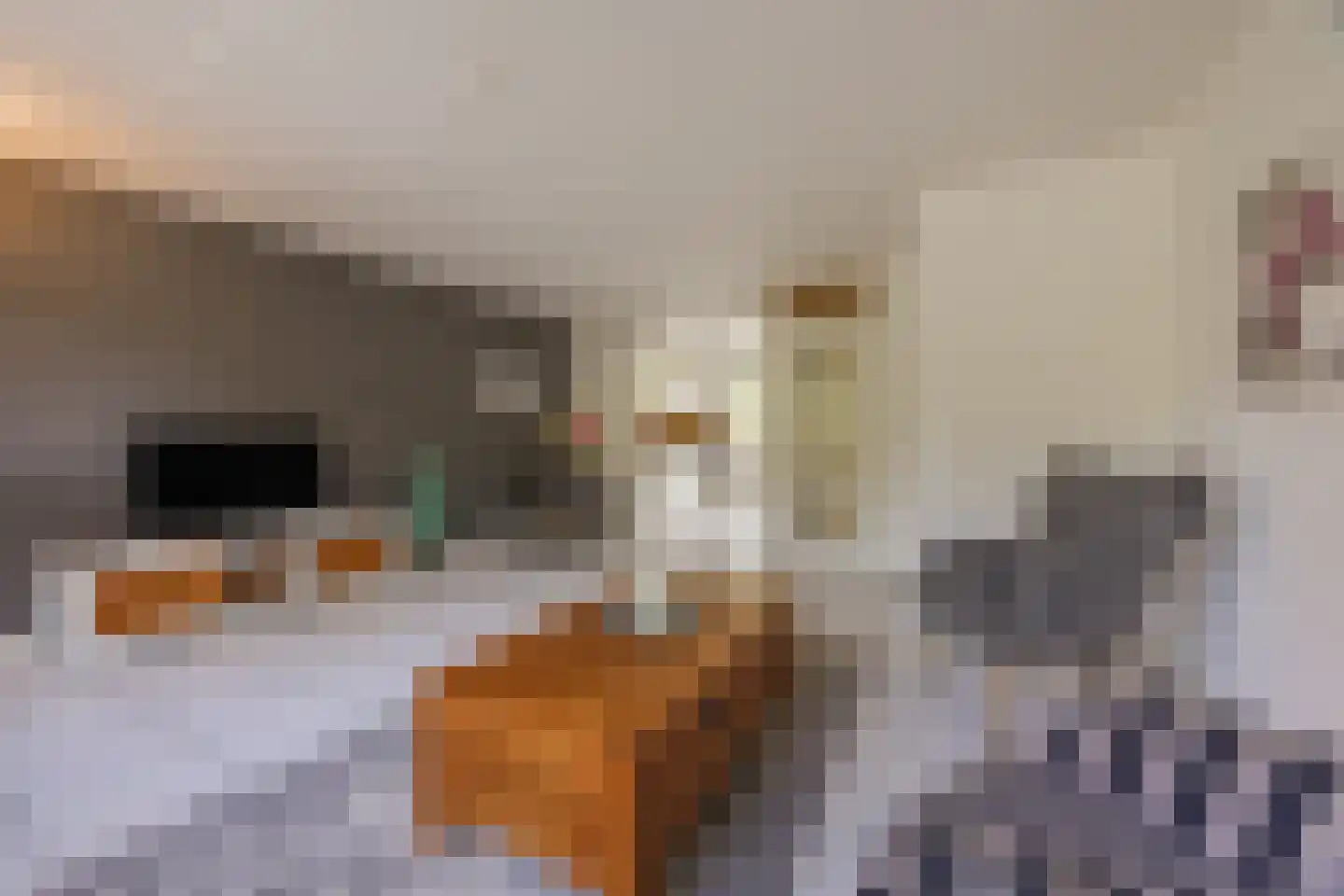 van Brederodestraat 11 Monster thumbnail 14