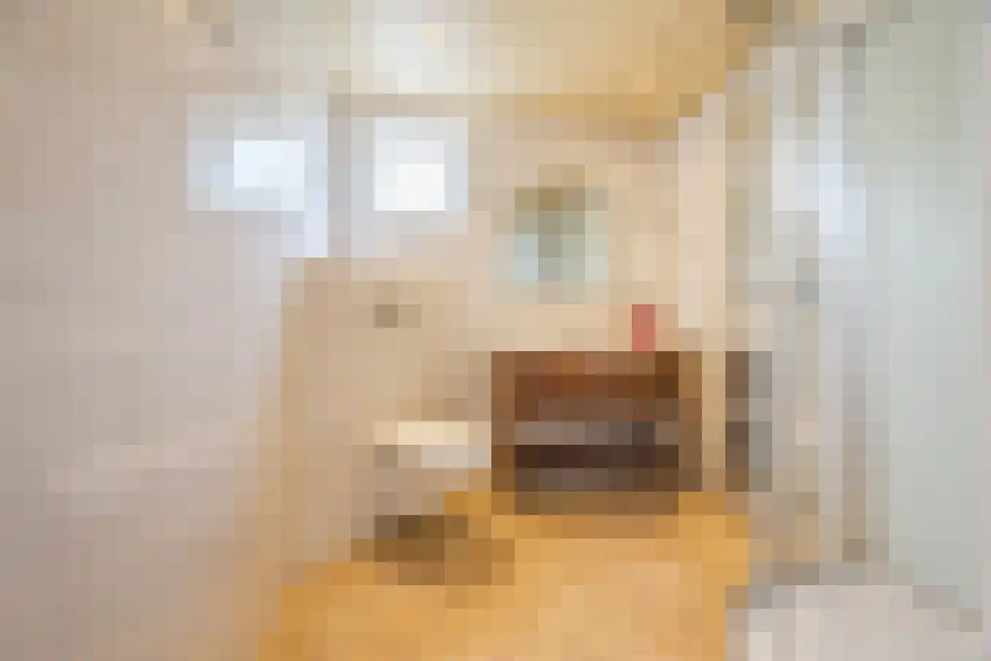 van Brederodestraat 11 Monster thumbnail 33