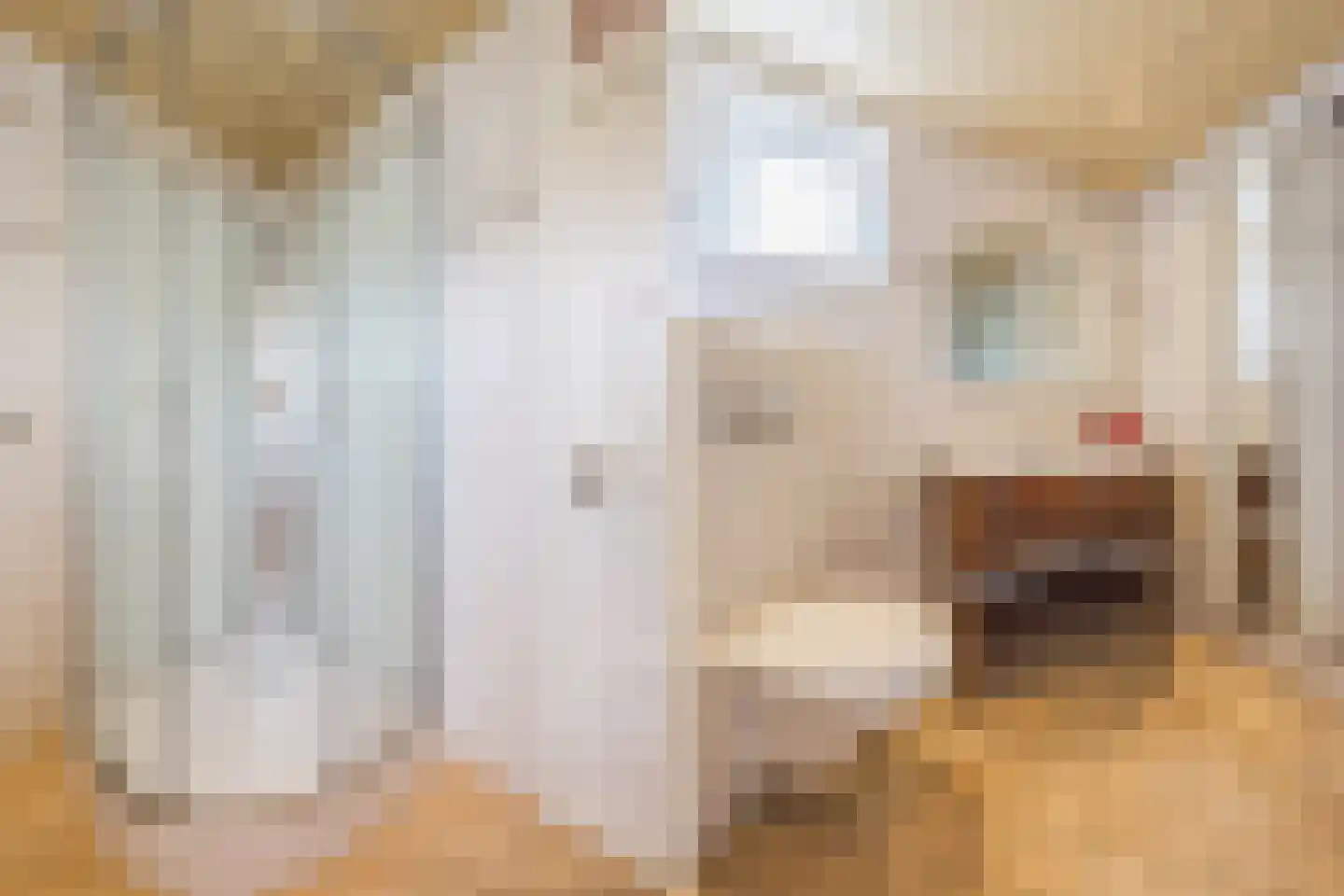 van Brederodestraat 11 Monster thumbnail 37