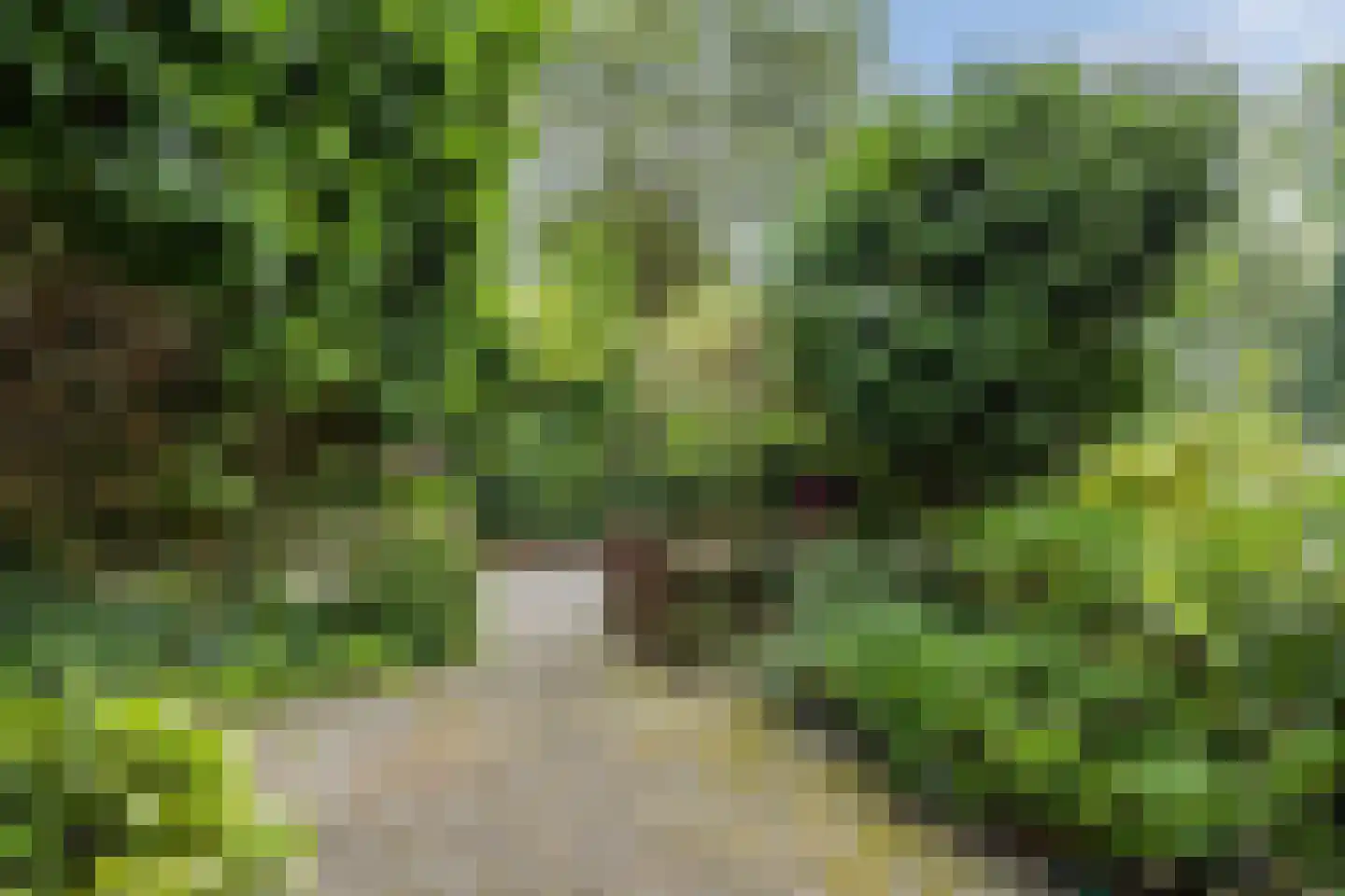 van Brederodestraat 11 Monster thumbnail 4