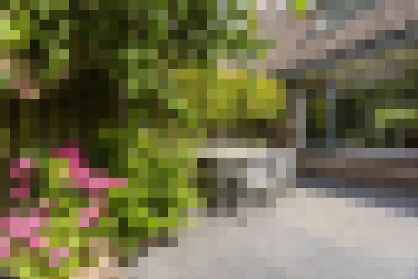 van Brederodestraat 11 Monster thumbnail 45