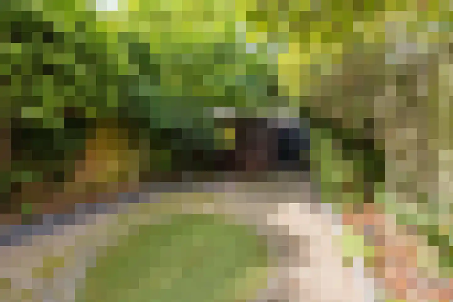 van Brederodestraat 11 Monster thumbnail 46