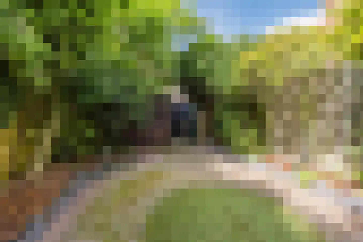 van Brederodestraat 11 Monster thumbnail 47