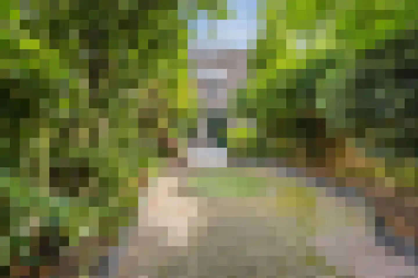 van Brederodestraat 11 Monster thumbnail 48