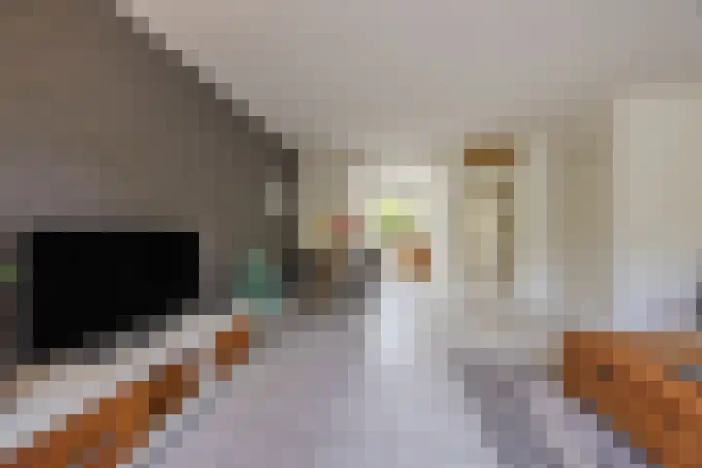 van Brederodestraat 11 Monster thumbnail 5