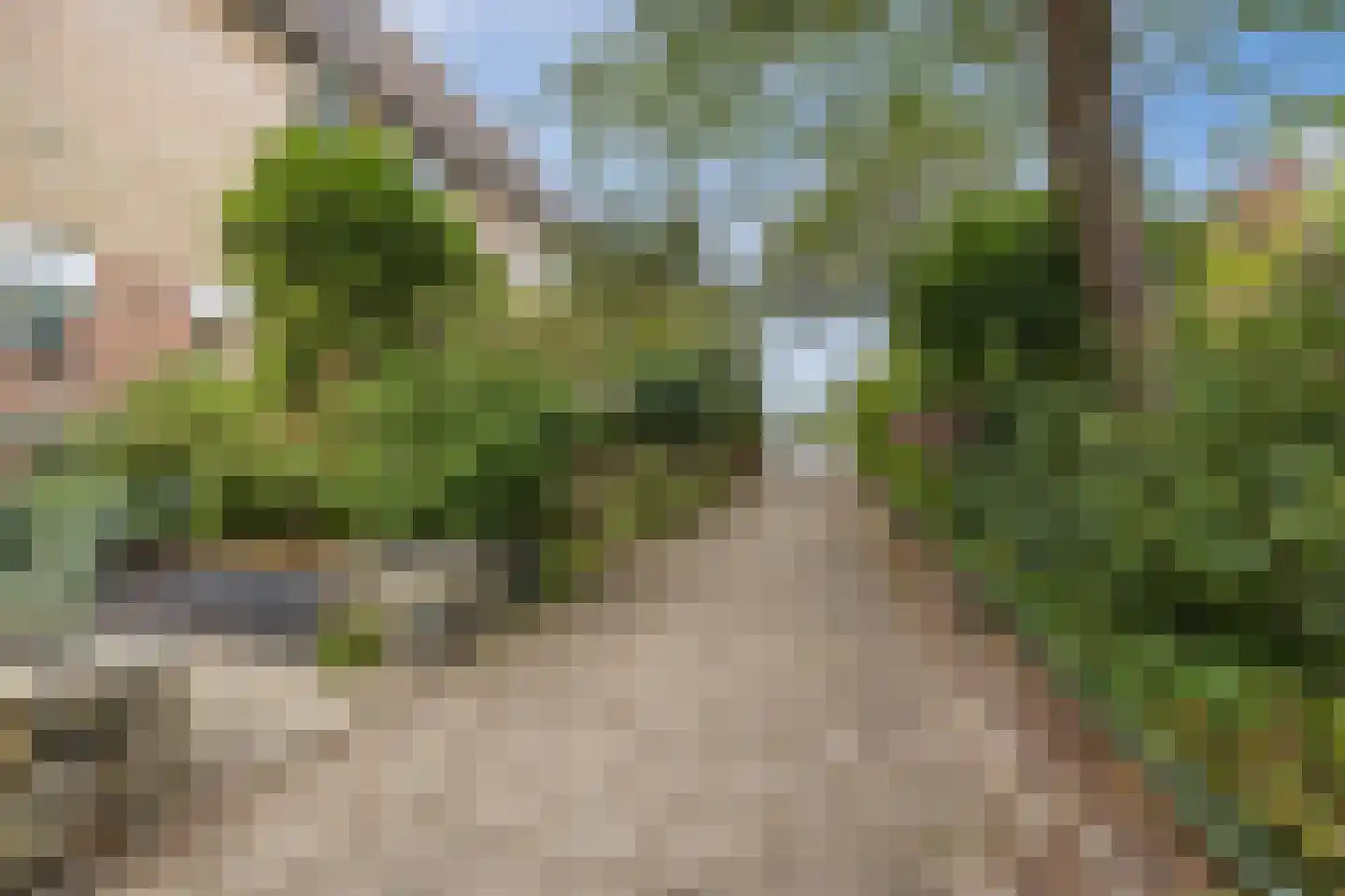 van Brederodestraat 11 Monster thumbnail 51