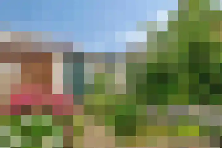 Van Brederodestraat 2 Reeuwijk thumbnail 18
