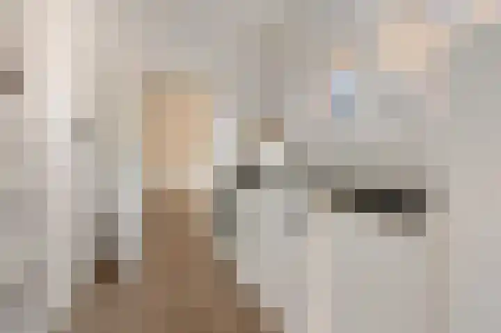 van Brederodestraat 23 Makkinga thumbnail 10