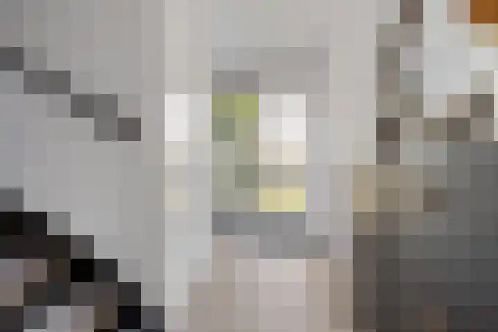 van Brederodestraat 23 Makkinga thumbnail 13
