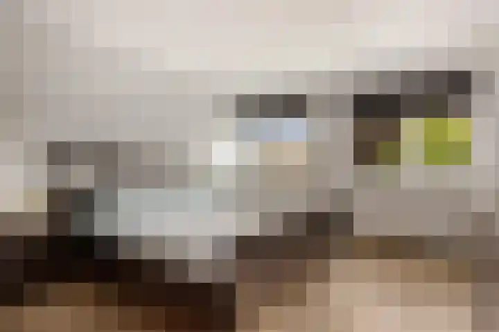 van Brederodestraat 23 Makkinga thumbnail 18