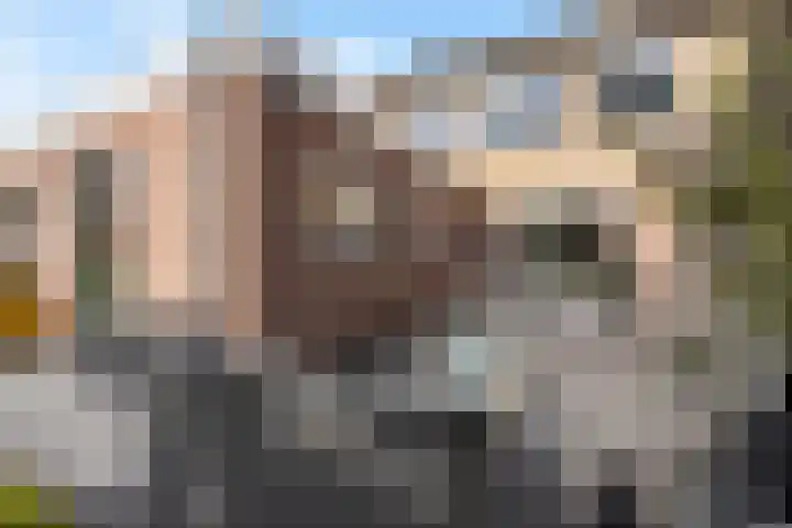 van Brederodestraat 23 Makkinga thumbnail 30