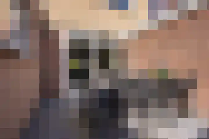 van Brederodestraat 23 Makkinga thumbnail 31
