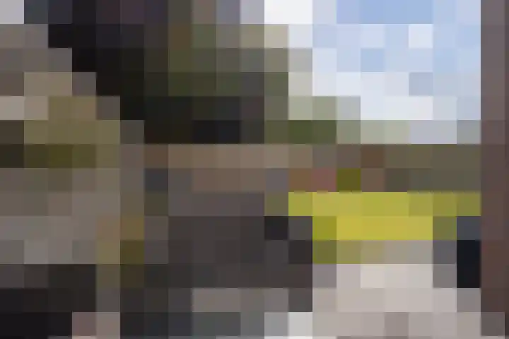 van Brederodestraat 23 Makkinga thumbnail 33