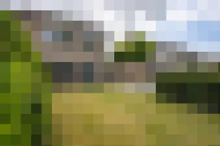 van Brederodestraat 23 Makkinga thumbnail 35