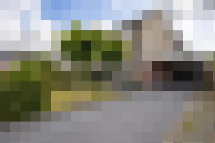 van Brederodestraat 23 Makkinga thumbnail 36